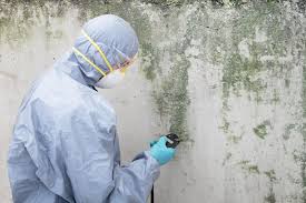 Why You Should Choose Our Mold Remediation Services in Eldridge, IA